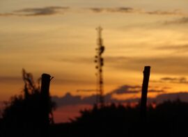 Silhouette photography of stick near electric tower